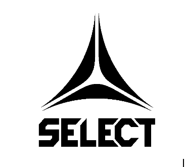 Sponsor logo #1